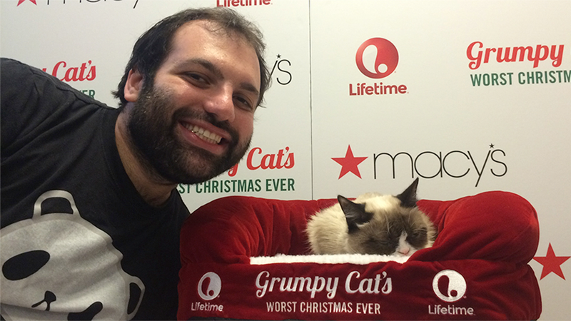 Illustration for article titled I Met Grumpy Cat and It Was Fucking Abysmal